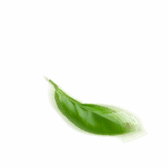 dsvavzxc 1